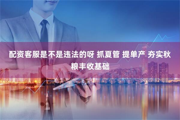 配资客服是不是违法的呀 抓夏管 提单产 夯实秋粮丰收基础