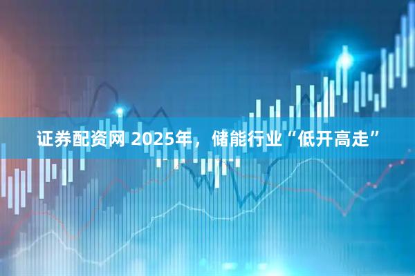 证券配资网 2025年，储能行业“低开高走”